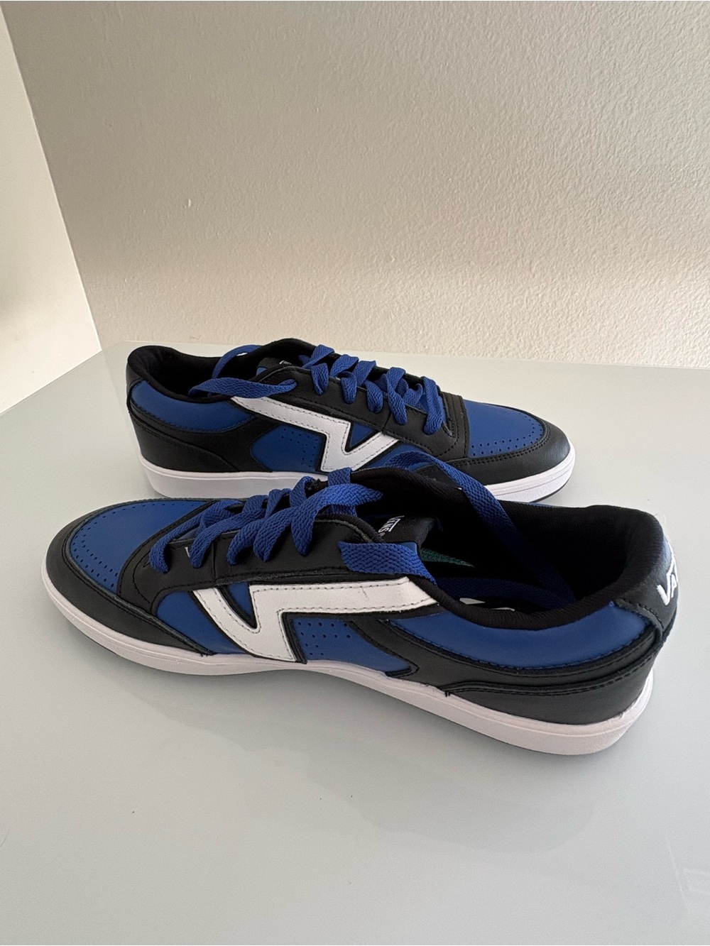 Vans Blue, Black & White Low-Top Sneakers